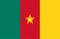 Cameroon flag