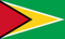 Guyana flag
